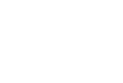 OpusPlus